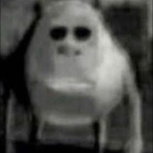 Meet your Posher, Aidan